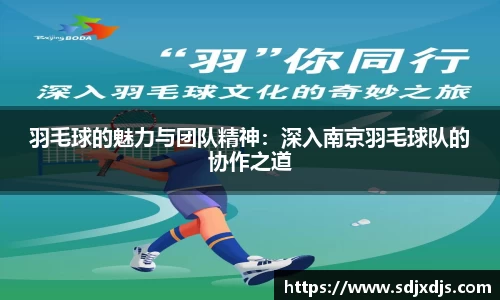 羽毛球的魅力与团队精神：深入南京羽毛球队的协作之道